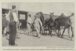 The Transvaal Crisis, detraining Horses for Service with Colonel Baden-Powell