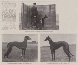 The Waterloo Cup by English Photographer
