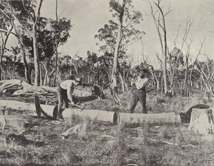 Timber Splitters at Work by English Photographer