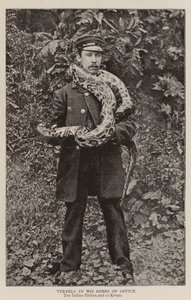 Tyrrell in his Robes of Office by English Photographer