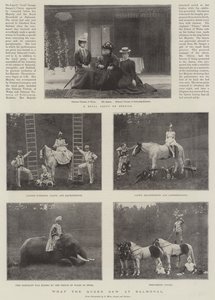 What the Queen saw at Balmoral