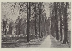 Winchester Cathedral by English Photographer