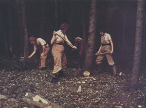 Women workers of the British Timber Corps felling trees, World War II by English Photographer