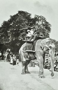 Zoological Gardens, Regents Park: Elephant Rides, London, c.1895