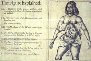 The Figure Explained by English School