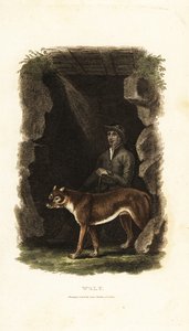 18th century English gentleman and his tame wolf, Canis lupus, in the entrance to a cave by English School