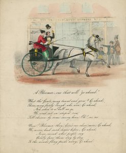 A Bloomer - One That Will Go Ahead by English School