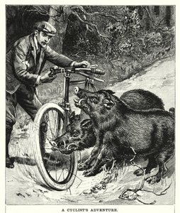 A Cyclist