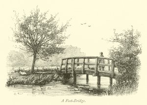 A Foot-Bridge by English School