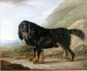 A King Charles Spaniel in a Landscape by English School