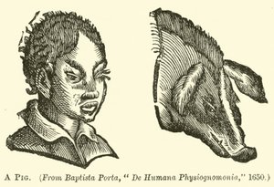 A Pig by English School