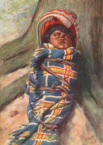 A Piute Indian papoose by English School