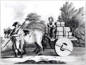 A Portuguese Farm, from A General View of the State of Portugal by James Murphy, published 1797