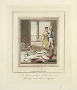 A Saumpareeah or Snake Catcher exhibiting snakes before Europeans, c.1824 by English School