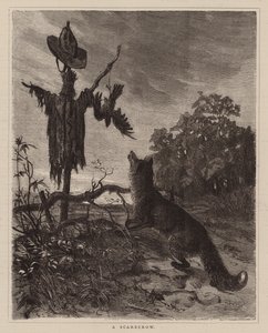 A Scarecrow