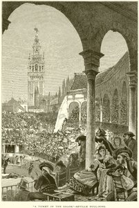 A Ticket in the Shade--Seville Bull-Ring
