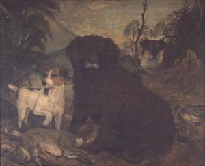 A Water Spaniel and Two Jack Russells by the Day