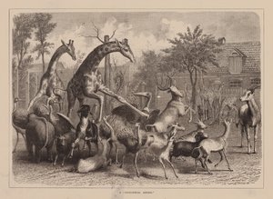 A "Zoological Airing" by English School