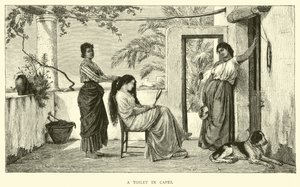 A Toilet in Capri by English School