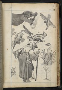 Illustration from A discourse of Witchcraft as it was acted in the Family of Mr. Edward Fairfax of Fuystone by English School