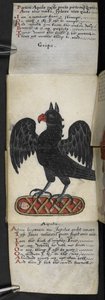 Game-book by English School