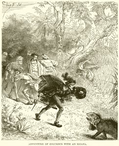 Adventure of Columbus with an Iguana by English School
