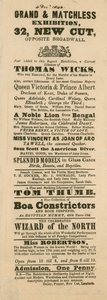 Advert for Ferguson