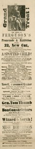 Advert for Ferguson