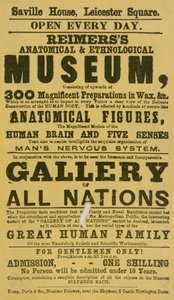 Advert for Reimers