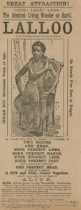 Advert for an Appearance of Lalloo by English School