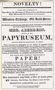 Advert for an Exhibition of the Papyruseum by English School