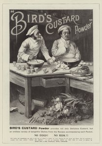 Advertisement, Bird