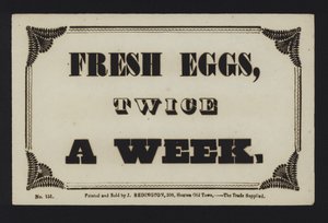 Advertisement: Fresh Eggs Twice a Week by English School