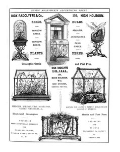 Advertisement for Dick Radclyffe & Co. Rustic Adornments by English School