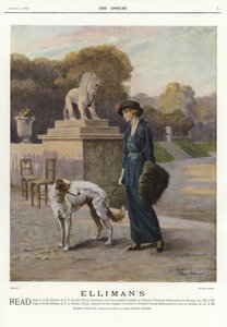 Advertisement for Ellimans Universal Embrocation by English School