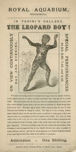 Advertisement for The Leopard Boy by English School