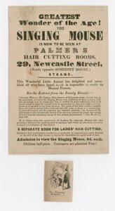 Advertisement for the Singing Mouse by English School