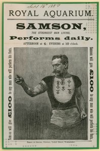 Advertisement for Samson by English School