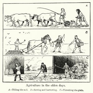 Agriculture in the olden days