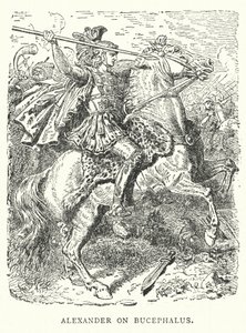 Alexander on Bucephalus by English School
