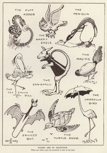 Amusing animals by English School