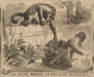 An Artful Monkey, My Next Door Neighbour, illustration from the 
