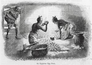An Egyptian Egg Oven by English School