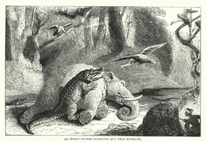 An Indian Jungle, Alligator and Dead Elephant by English School