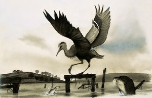 An otter watches a heron by English School