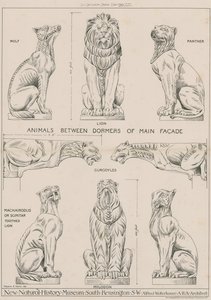 Animals Between Dormers of Main Facade of the New Natural History Museum, South Kensington by English School
