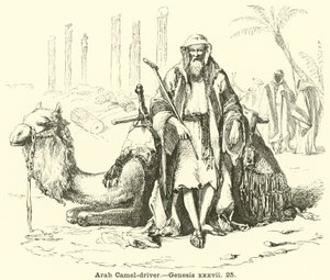 Arab Camel-driver by English School