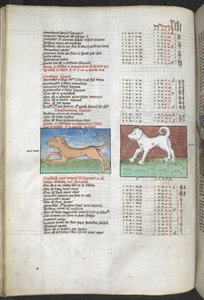 Canis maior and Canis minor depicted as dogs 