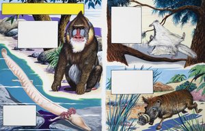 Assorted animals by English School