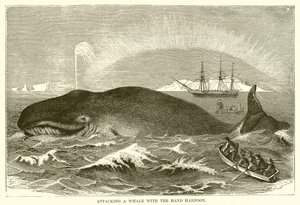 Attacking a Whale with the Hand Harpoon by English School